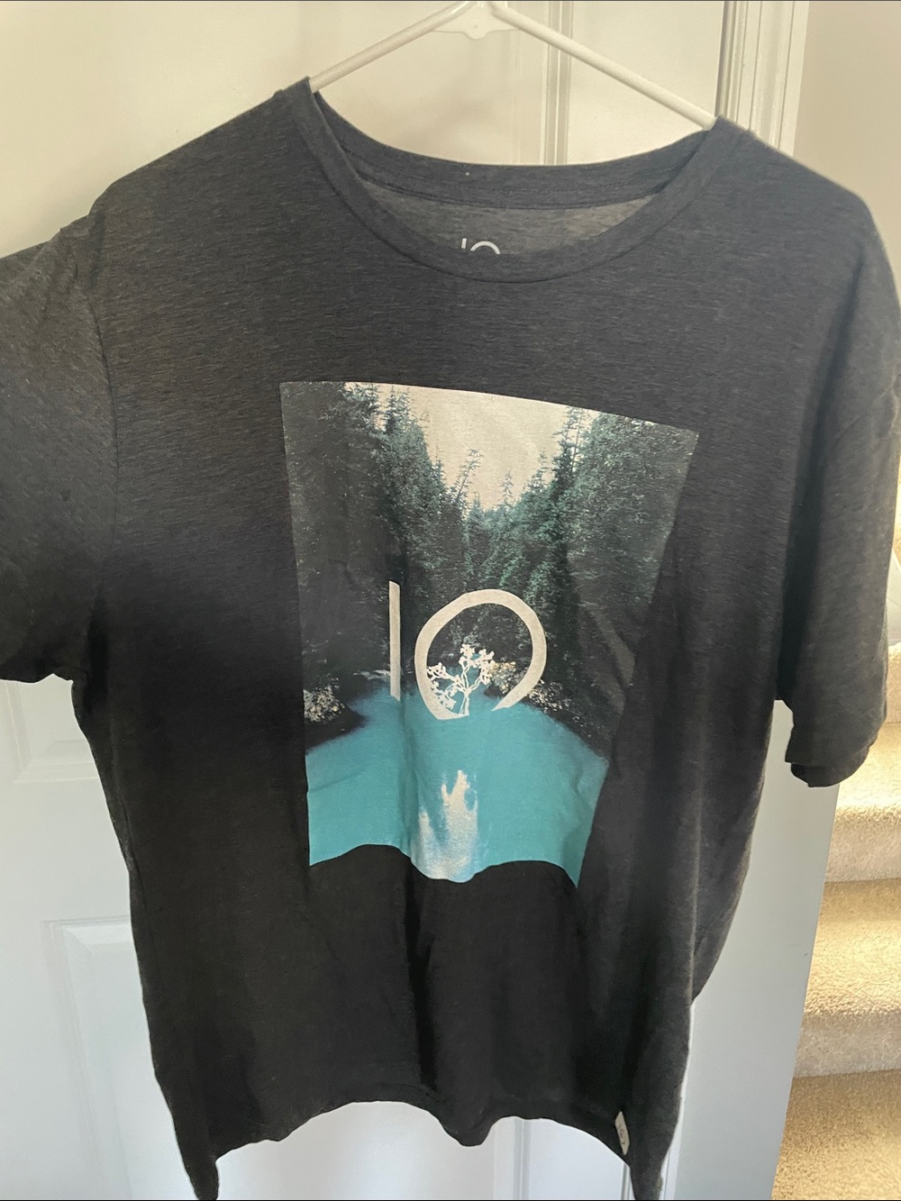 tentree Black Short-Sleeve Tee with Teal Scenic Graphic Men’s Large